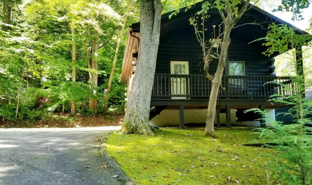 Tanglewood Motel And Log Cabins Маги Вали Екстериор снимка